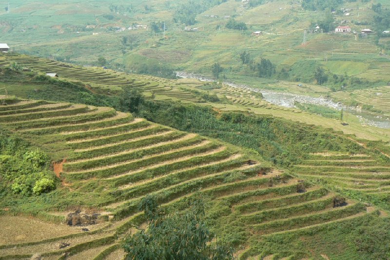 Trekking in Sapa Vietnam Sa Pa Diary Sharing