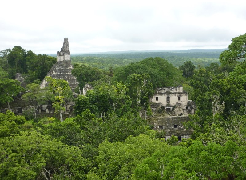 Photo Tikal Tour of the Mayan Ruins, Guatemala raction