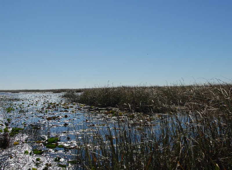 Photo Everglades National Park Boat Tour Christmas