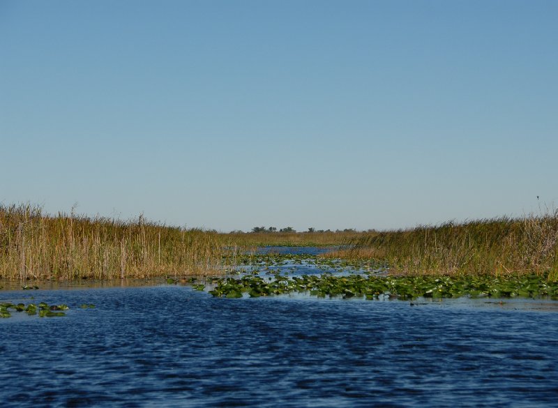 Everglades United States 