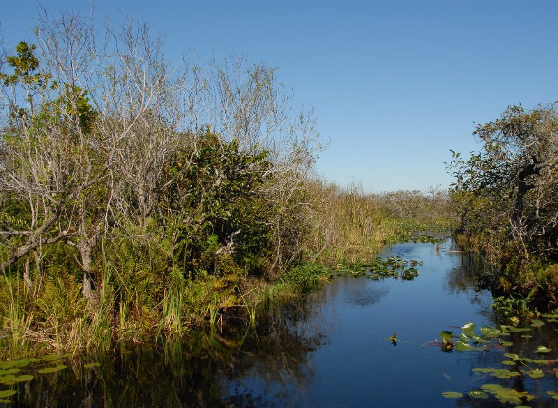 Everglades United States 