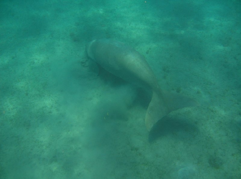 Marsa Alam Egypt 