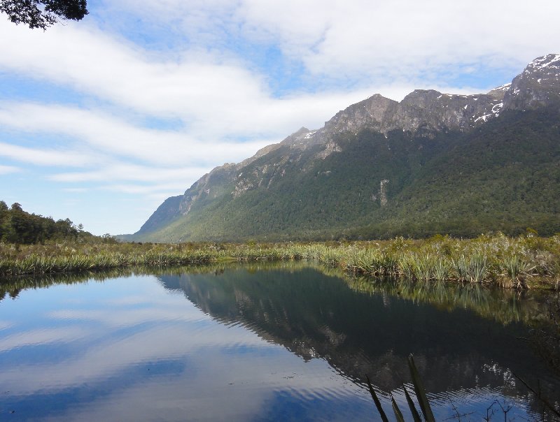 The South of New Zealand by Campervan Bluff Photo Gallery