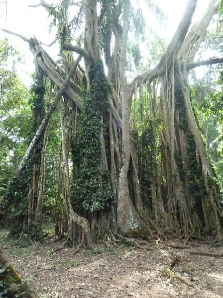 Nkoranza Ghana 