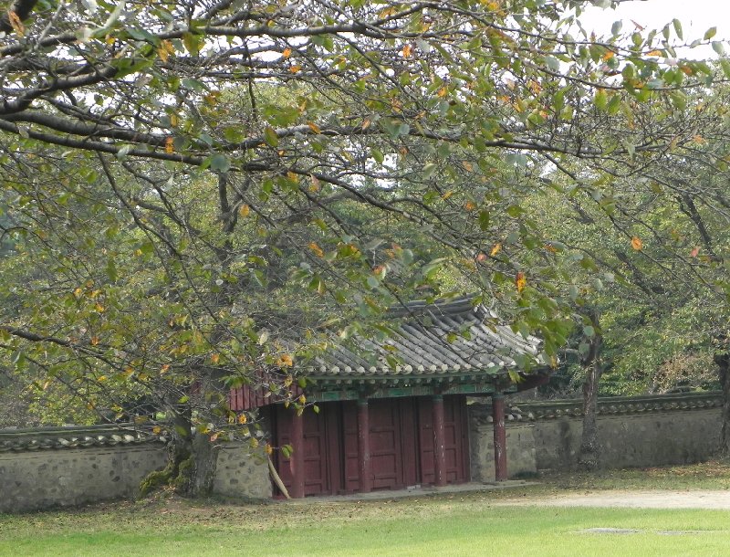   Gyeongju-si South Korea Trip Experience