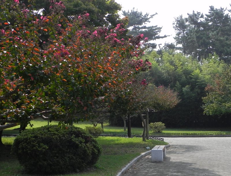   Gyeongju-si South Korea Photograph