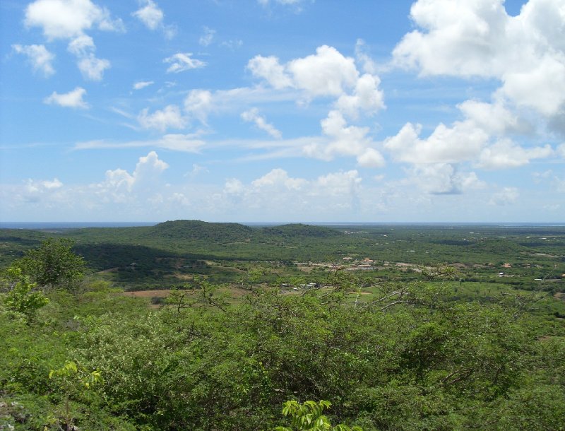 Photo Holiday in Bonaire, a Caribbean Cruise contain