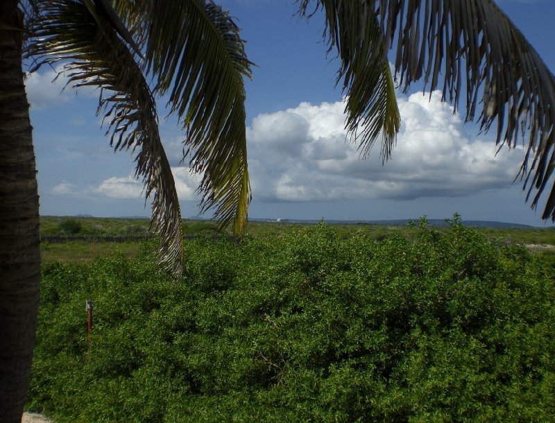 Photo Holiday in Bonaire, a Caribbean Cruise Curacao