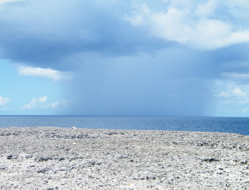 Bonaire Netherlands Antilles 