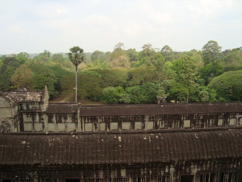   Siem Reap Cambodia Trip Guide