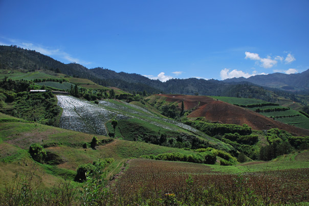 Constanza - Center of Dominican Republic Diary Photography