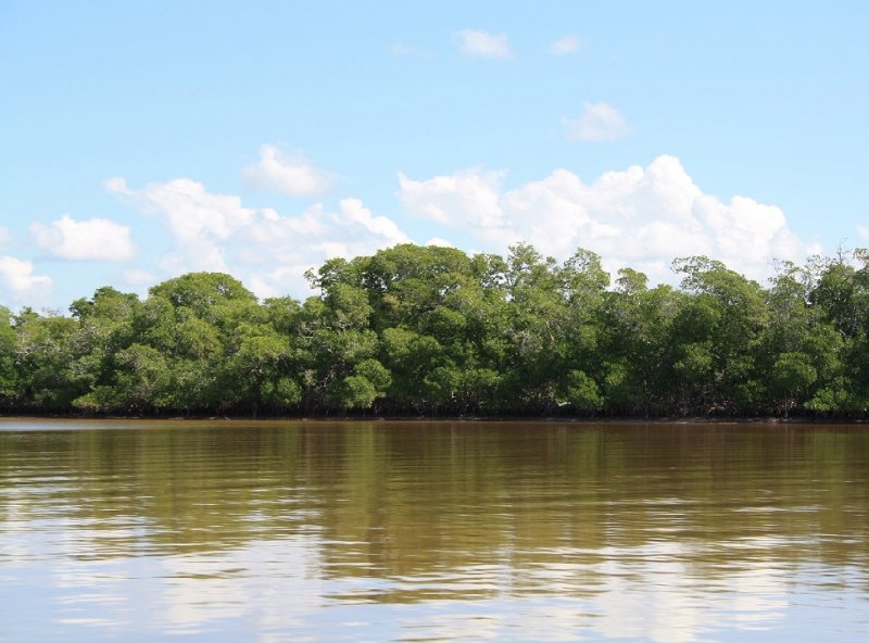 Flamingo Tour in Yucatan Mexico Celestun Photograph