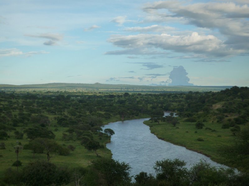 Tanzania Wildlife Safari Tarangire National Park Travel Diary