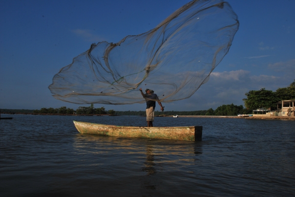 Shrimp-Fishing in Dominican republic Sanchez Ramirez Story Sharing