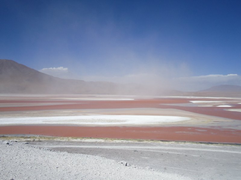 Photo Bus tour from Chile to Bolivia through