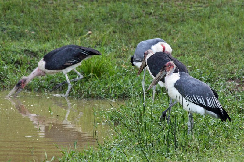   Lolim Uganda Travel Photos