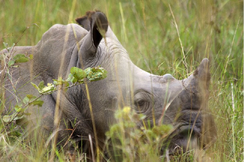 Uganda Safari Murchison Falls NP Lolim Trip Photos