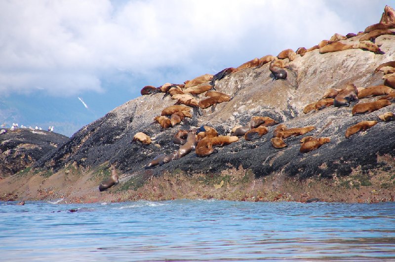 Admiralty Island United States 