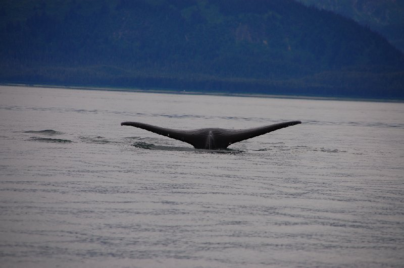 Admiralty Island United States 