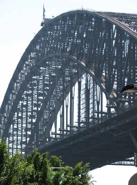 Aquarium Sydney Darling Harbour Australia Travel Experience