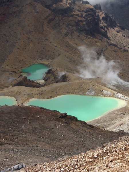 Photo Tongariro Crossing New Zealand Crossing