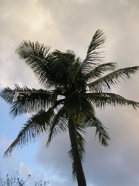 Meemu Atoll Maldives 