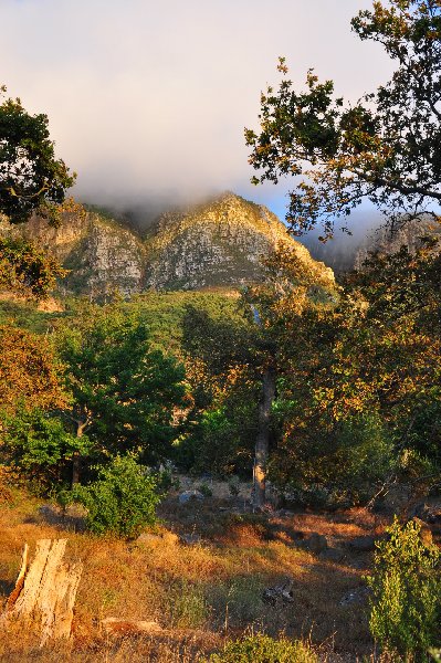   Cape Town South Africa Trip Guide