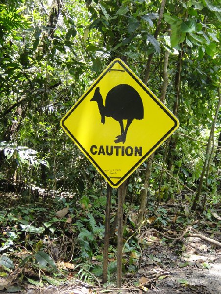 Cape Tribulation Australia 