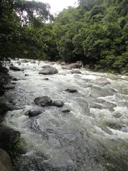 Photo Cape Tribulation tours from Cairns amazing