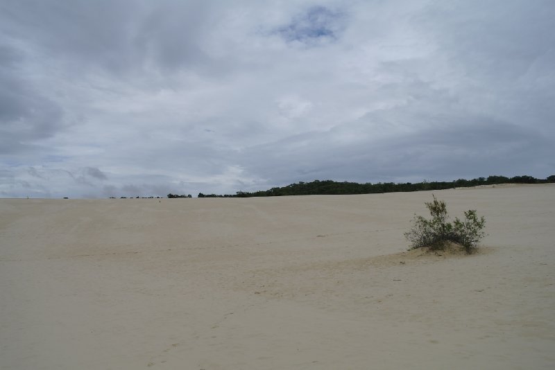   Moreton Island Australia Blog