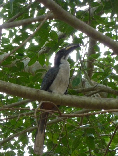 Hettipola Sri Lanka 