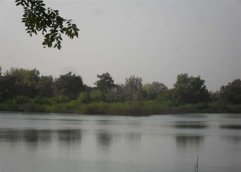 Benin Wildlife Safari Tour Tanguieta Photography