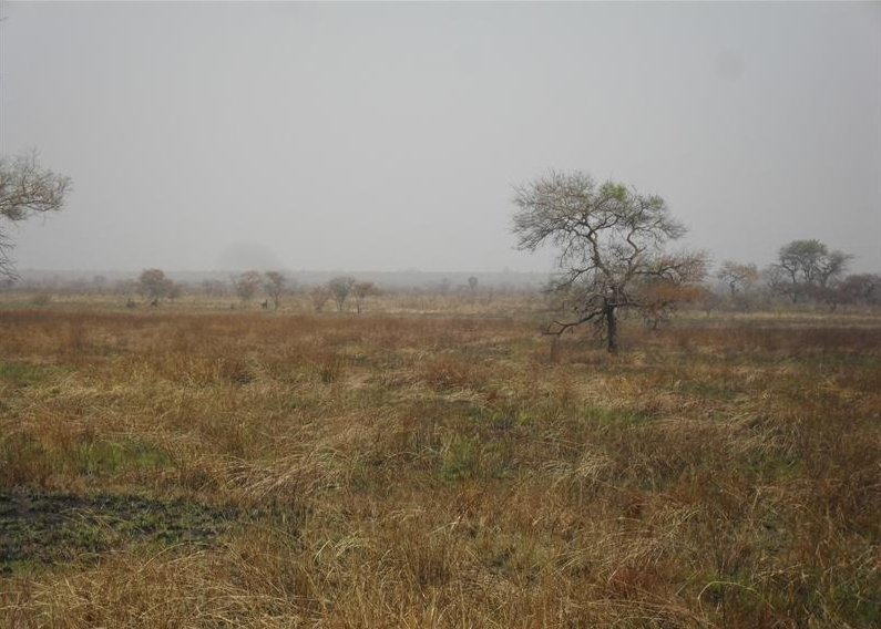 Tanguieta Benin 