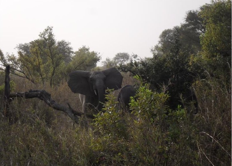 Benin Wildlife Safari Tour Tanguieta Blog Pictures