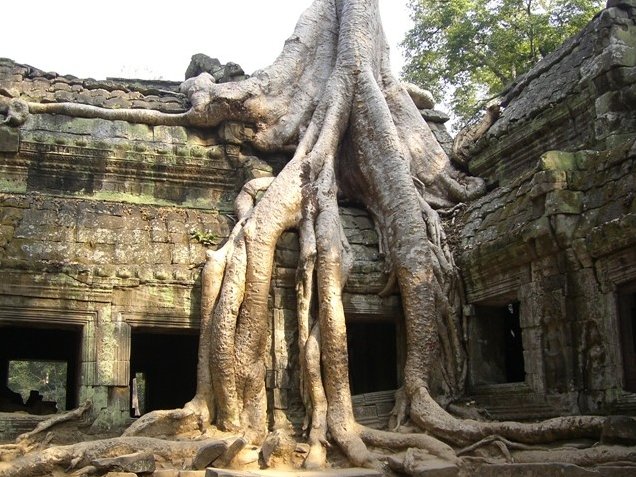 Tuk tuk temple tour in Siem Reap Angkor Cambodia Travel Photo