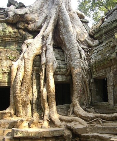 Tuk tuk temple tour in Siem Reap Angkor Cambodia Diary Information