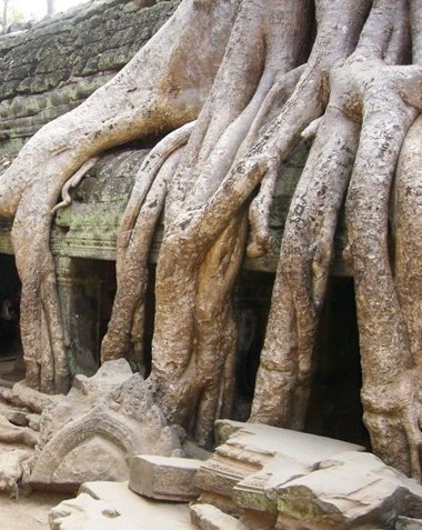Tuk tuk temple tour in Siem Reap Angkor Cambodia Trip Photos