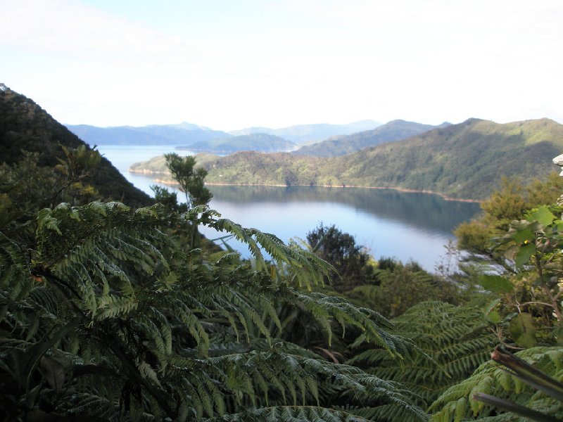 Photo Queen Charlotte Track New Zealand located