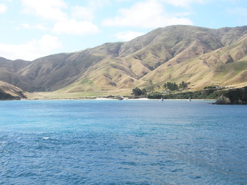 Queen Charlotte Track New Zealand Totaranui Story Sharing