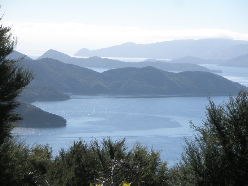 Photo Queen Charlotte Track New Zealand tracks