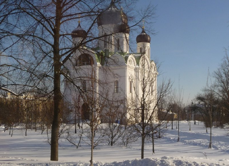 Photo Saint Petersburg Guided Tours golden