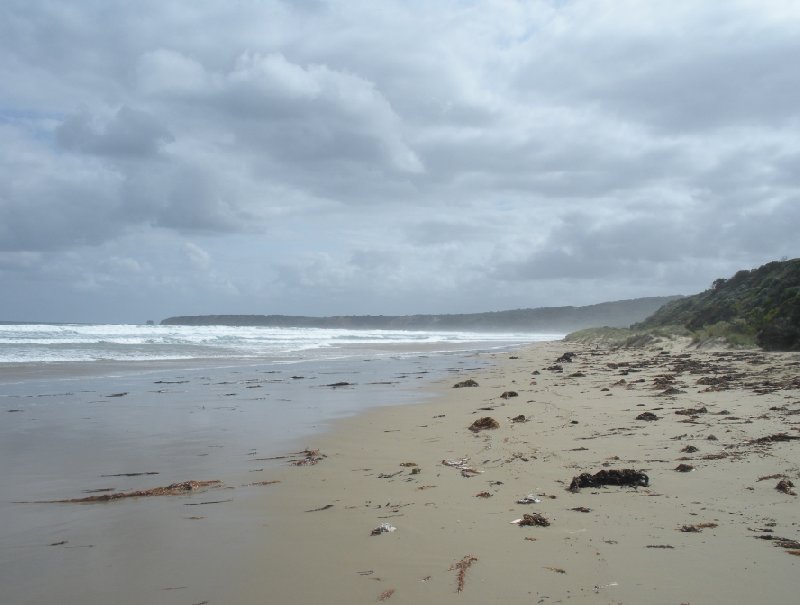 Photo Great Ocean Road Tour from Melbourne 