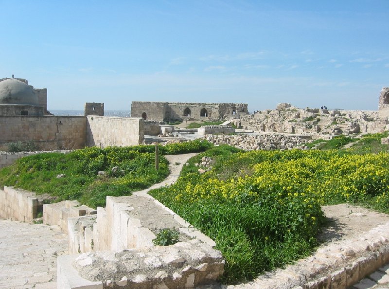 Photo Tour by bus from Palmyra to Hamah 