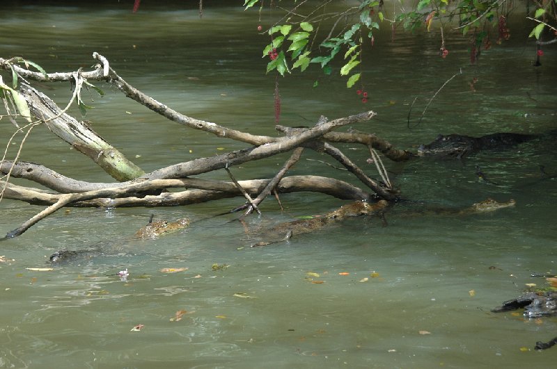 Costa Rica Boat Tour La Fortuna Review Gallery