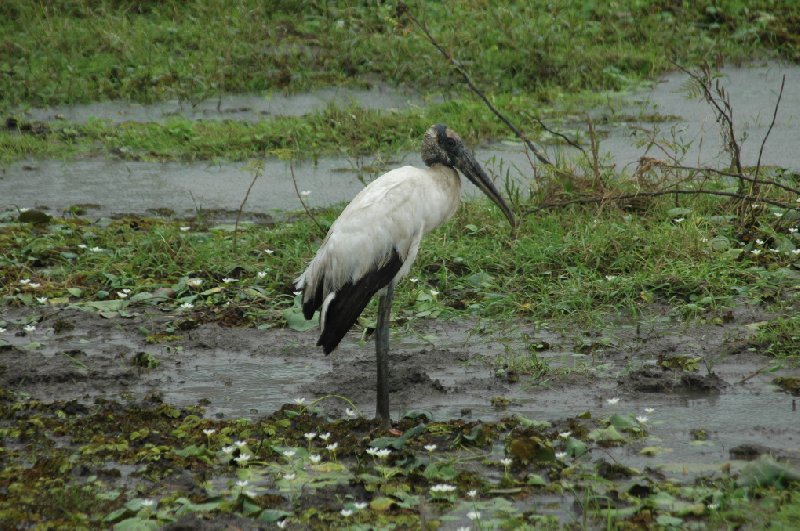 Costa Rica Boat Tour La Fortuna Holiday Sharing