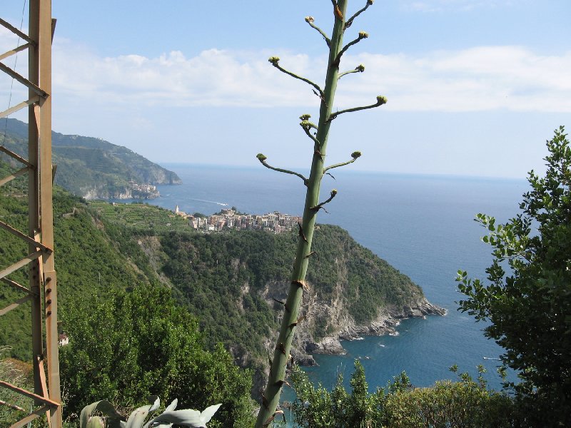 Cinque Terre Italy Diary Information