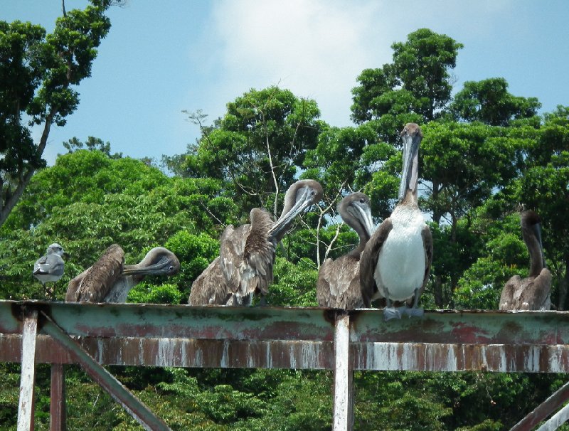 Photo Trip to Guatemala 