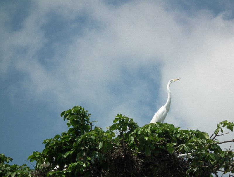 Photo Trip to Guatemala 