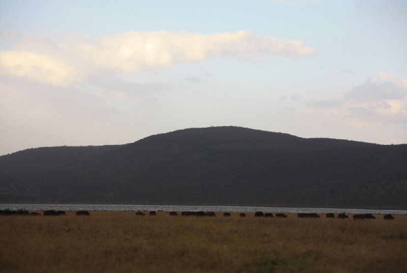 Tsavo Kenya 