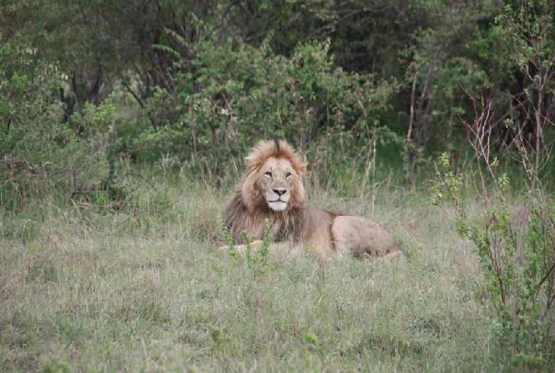 Tsavo Kenya 